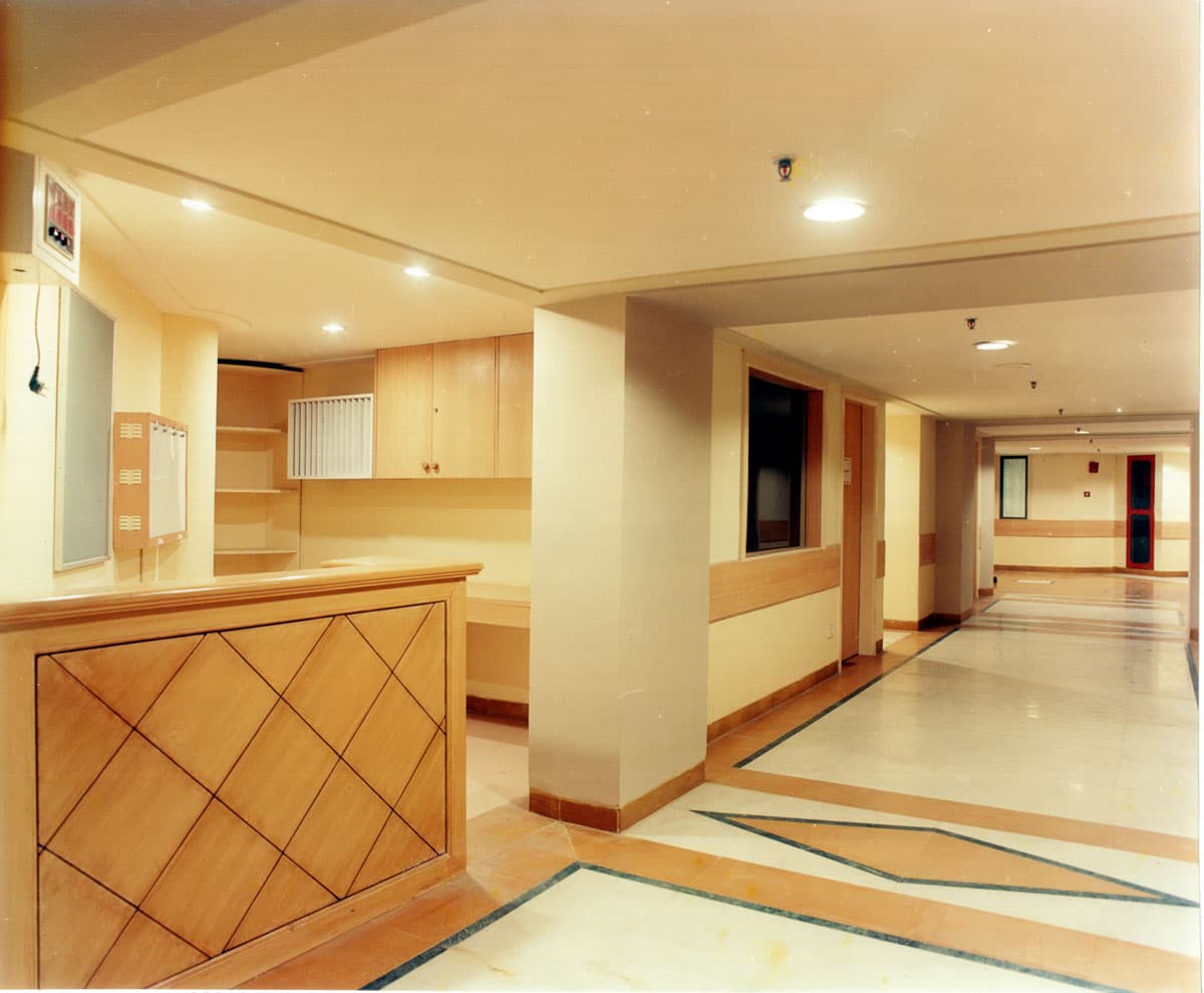 DLF Icon