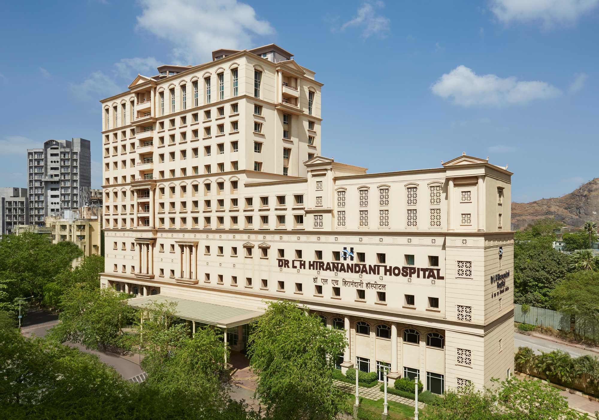 DLF Icon