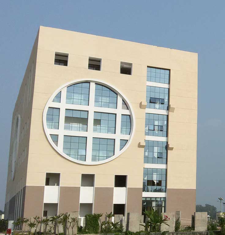 DLF Icon