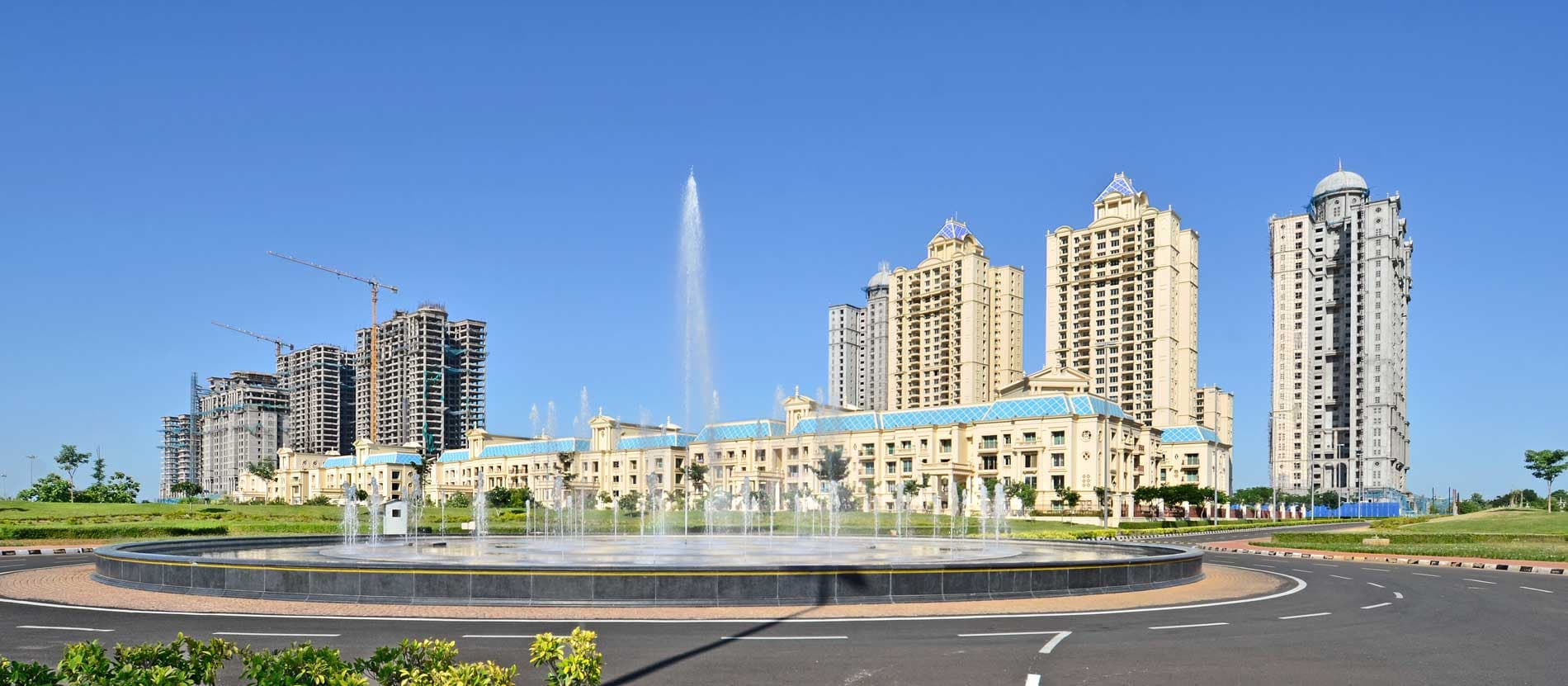 DLF Icon