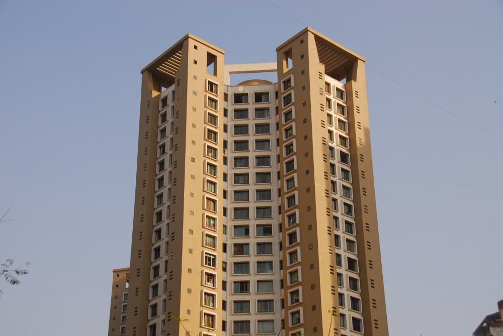 DLF Icon