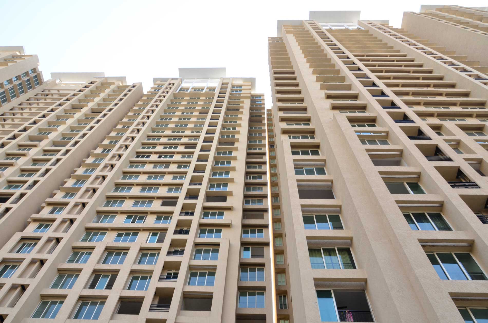DLF Icon