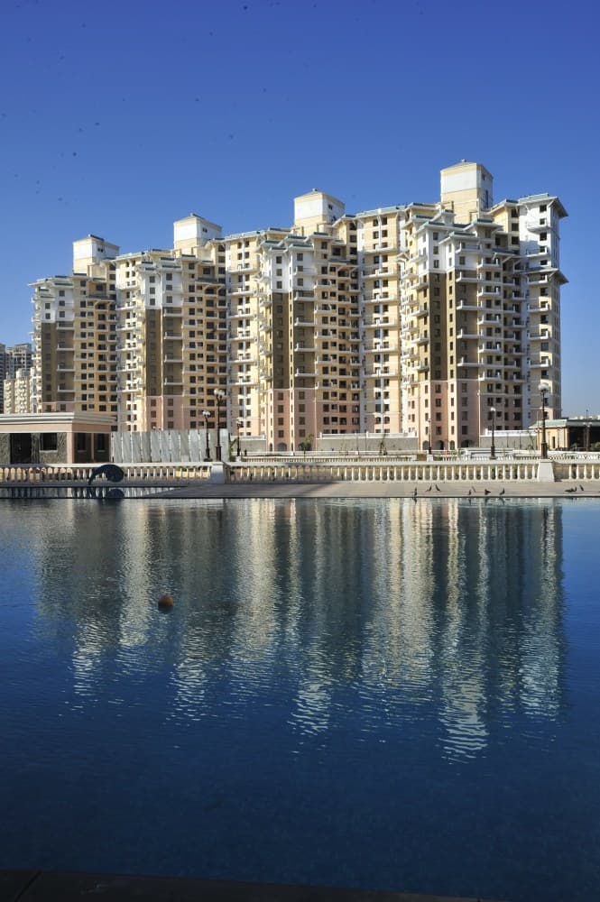 DLF Icon