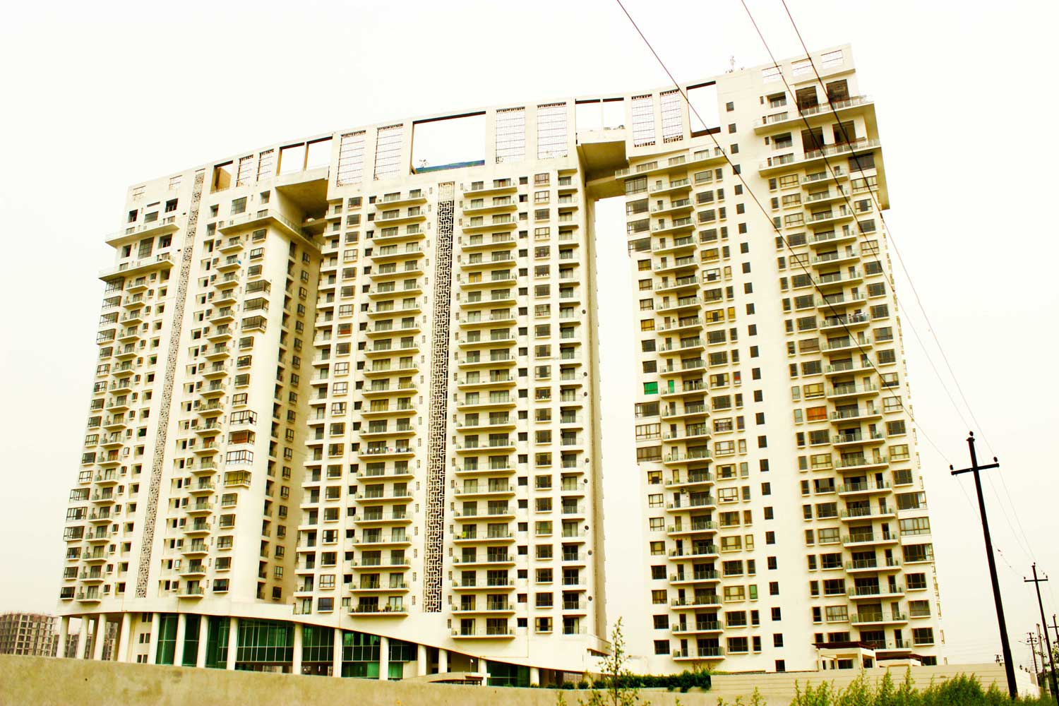 DLF Icon