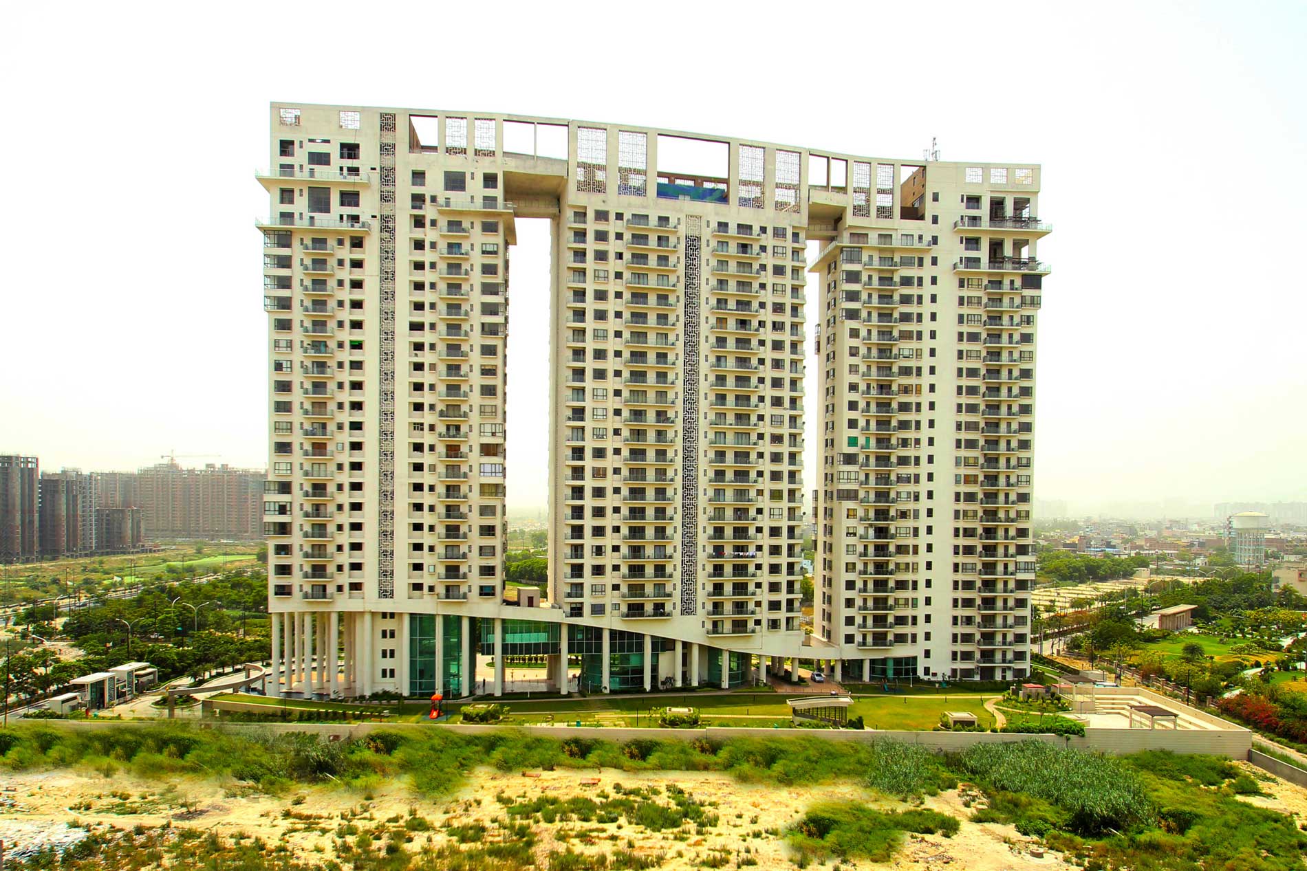 DLF Icon